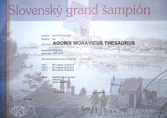 Slovenský šampion a Šampion Srbska