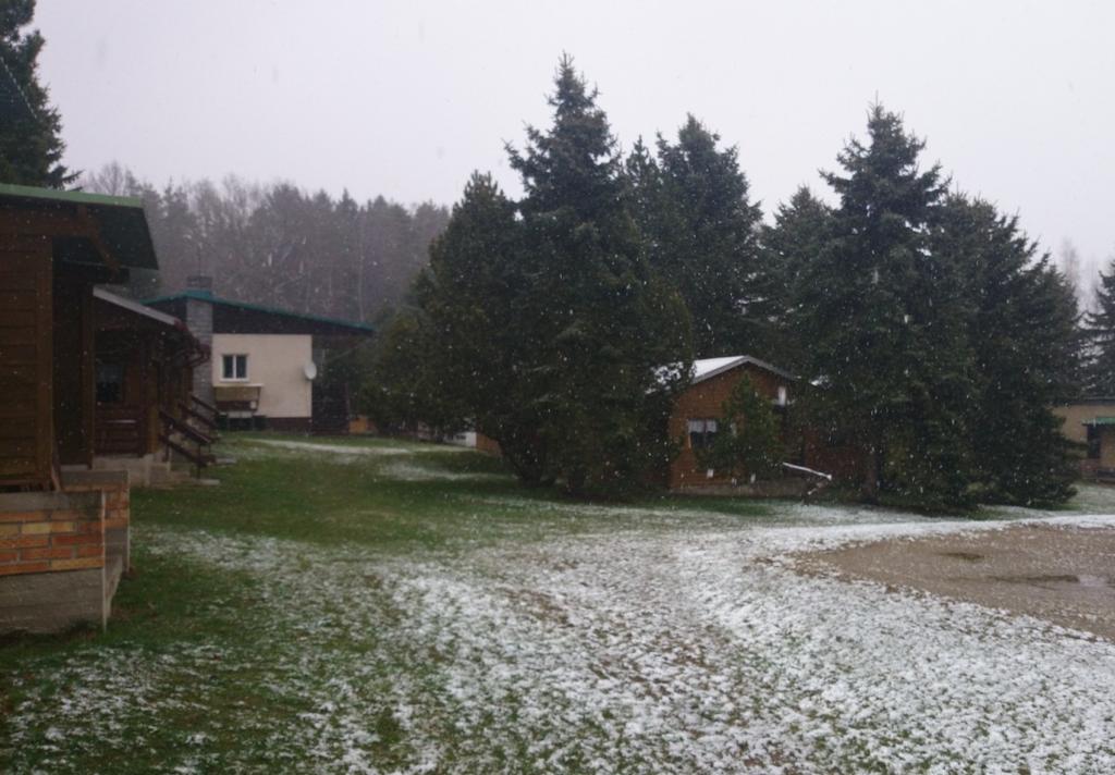 PŘÍSPĚVKY ČLENŮ KLUBU Jarní setkání kamarádů a milovníků psů spojené s výcvikem se konalo o letošních Velikonocích. Již jsem zažila Velikonoce, kdy jsem se koupala v řece.