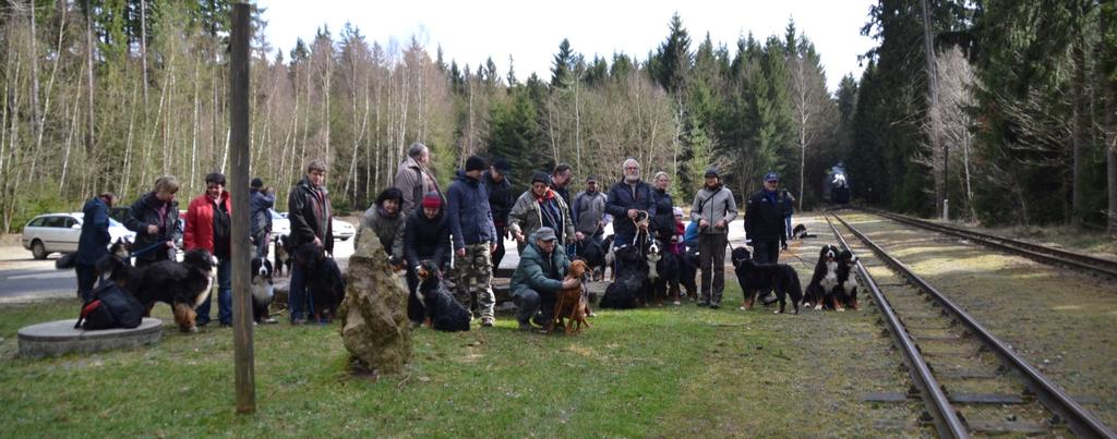 PŘÍSPĚVKY ČLENŮ KLUBU na a Slávek Dohnalovi. Jana pomáhala Slávkovi při výcviku, upozorňovala nás na naše chyby, a od obou jsem dostala spoustu užitečných rad.