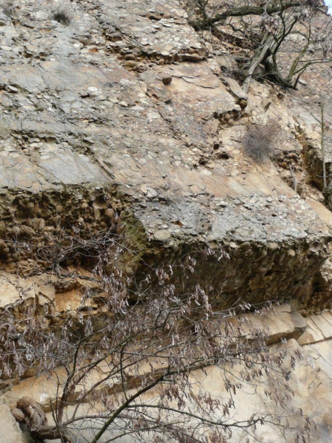 SPODNÍ KARBON DRAHANSKÉ VRCHOVINY V KULMSKÉM VÝVOJI Kulmská facie představuje mocná souvrství především drob a prachovitých až jílovitých břidlic.
