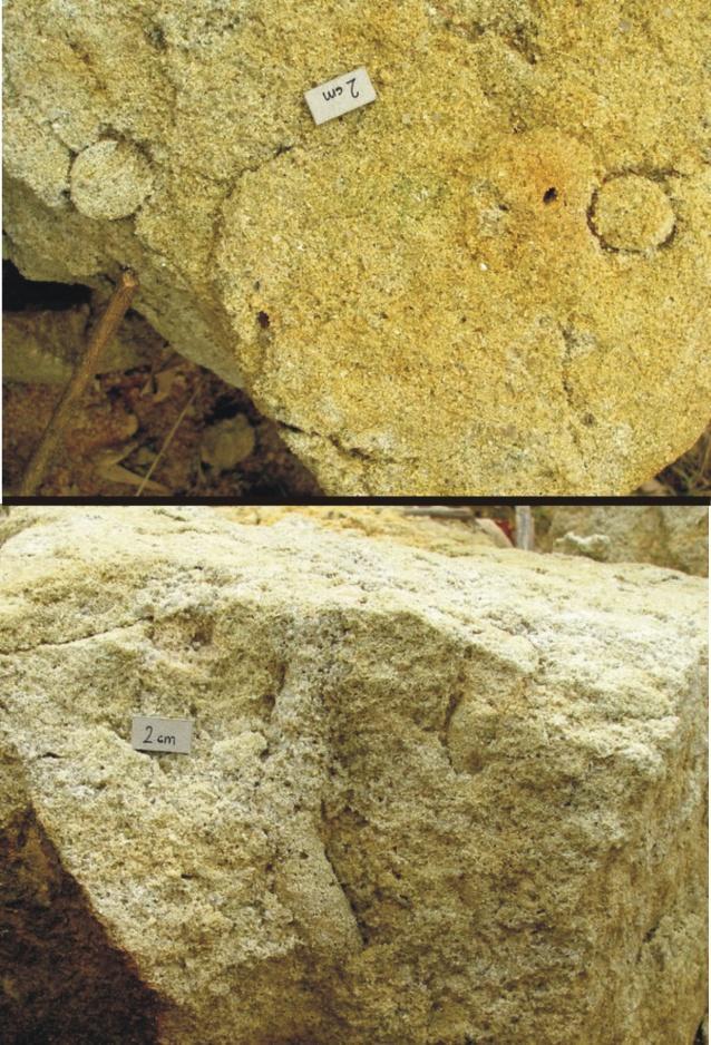 v místech styku Fe nabohacených fluid s meteorickou okysličenou vodou apod. Vytvářejí se také volně rozptýlené konkrecionální útvary.