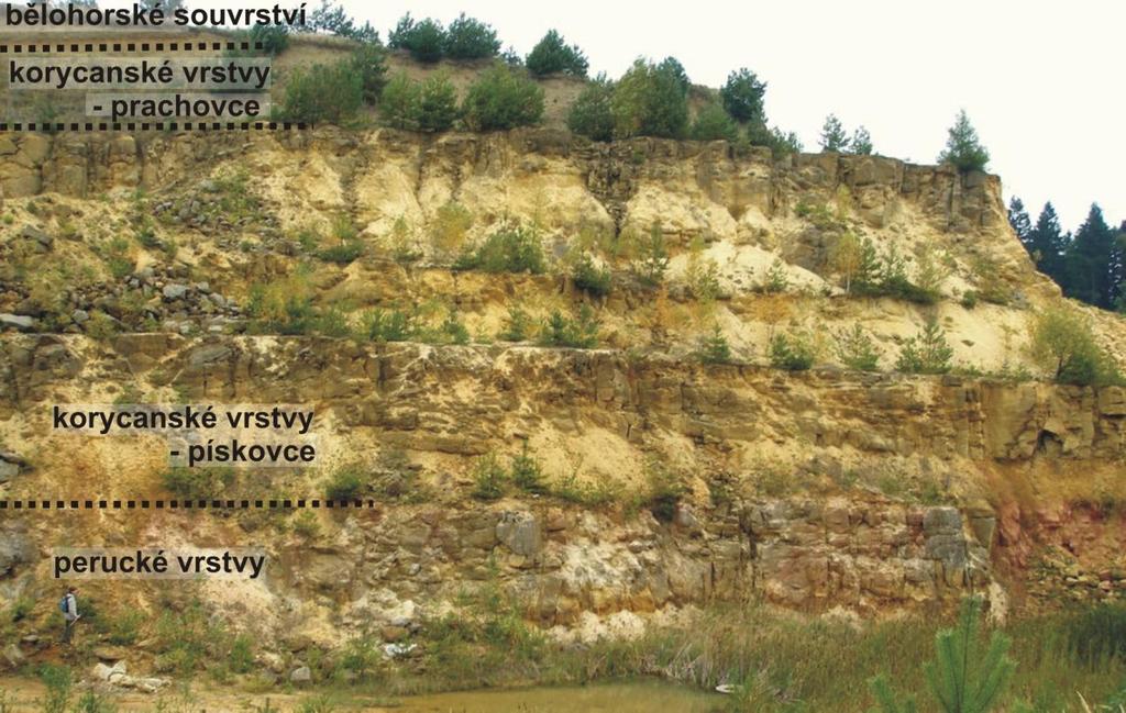 Výskyt druhu Inoceramus labiatus datuje tyto horniny do spodního turonu.