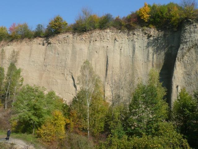 Obr. 35. Nemojany - pískovna První fázi spodnobadenské transgrese v karpatské předhlubni doprovázelo ukládání klastických sedimentů v příbřežní a mělčí okrajové zóně mořské pánve.