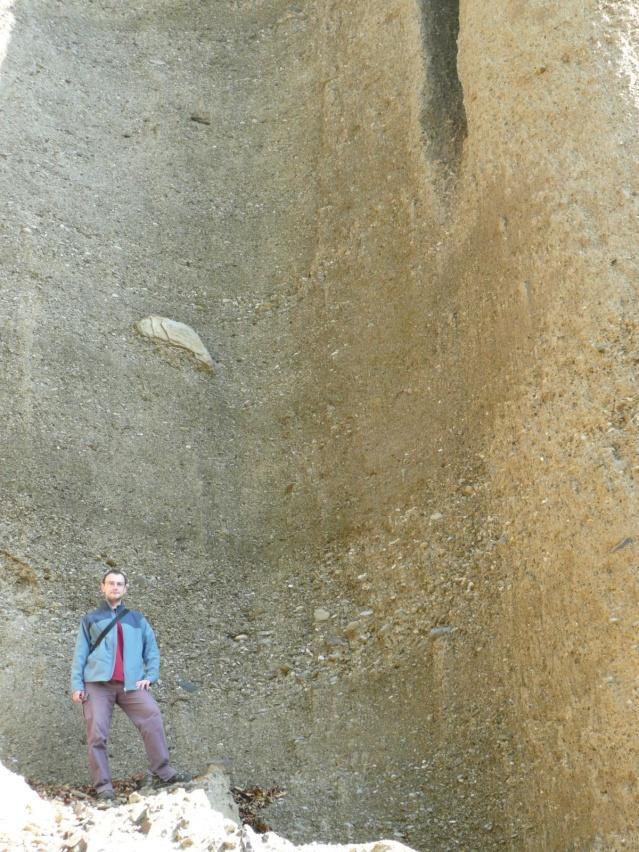 Tyto sedimenty formovaly různé pobřežní valy a kosy, tvořily pláže nebo to jsou uloženiny kuželových delt (fan-delt) progradujících do moře.