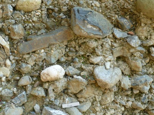 Vždy obsahují takový horninový materiál, který tvoří nejbližší okolní snosovou oblast (jsou tedy provenienčně místní).