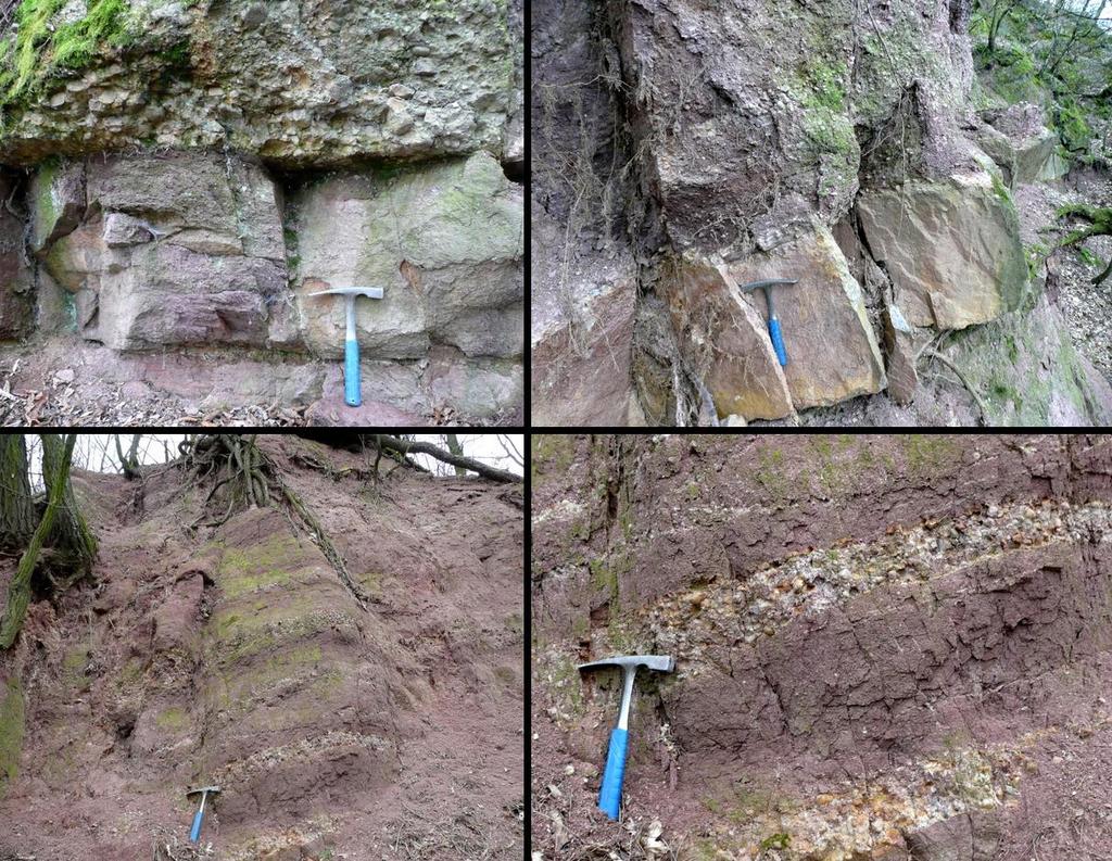 Na základě litofaciálních znaků bylo zjištěno, že se jedná o terestrické sedimenty aluviálních kuželů, které vybíhaly z vyvýšených částí do transtenzní pánve při pasivním okraji kadomsky