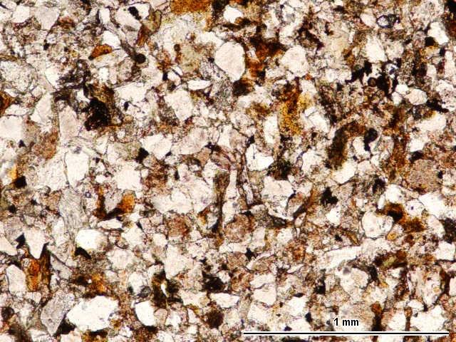 Obr. 17 Vzorek 1S, jemnozrnná droba, PPL (foto Vrba, 2014) Střednozrnná skupina hornin: Horninové vzorky jsou tvořeny klasty křemene, živců, šupinami slíd, úlomky hornin, těžkými minerály a mezerní