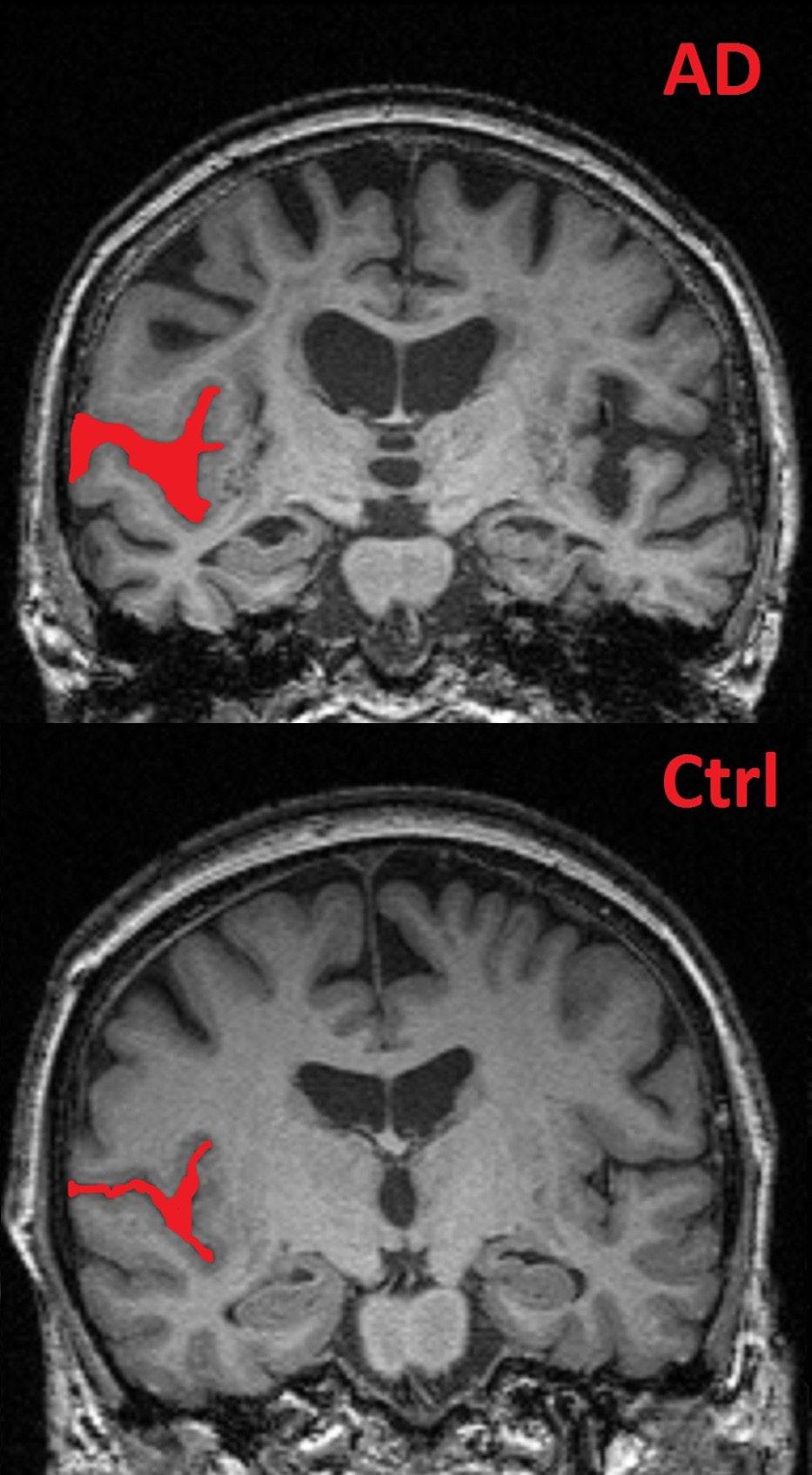 Obr. 1