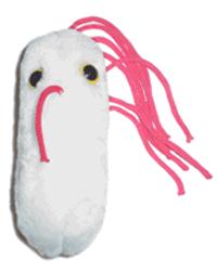 Konec http://www.giantmicrobes.