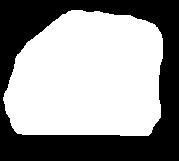 sůl