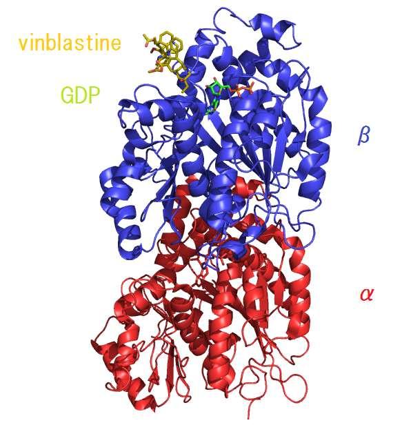 VINBLASTIN