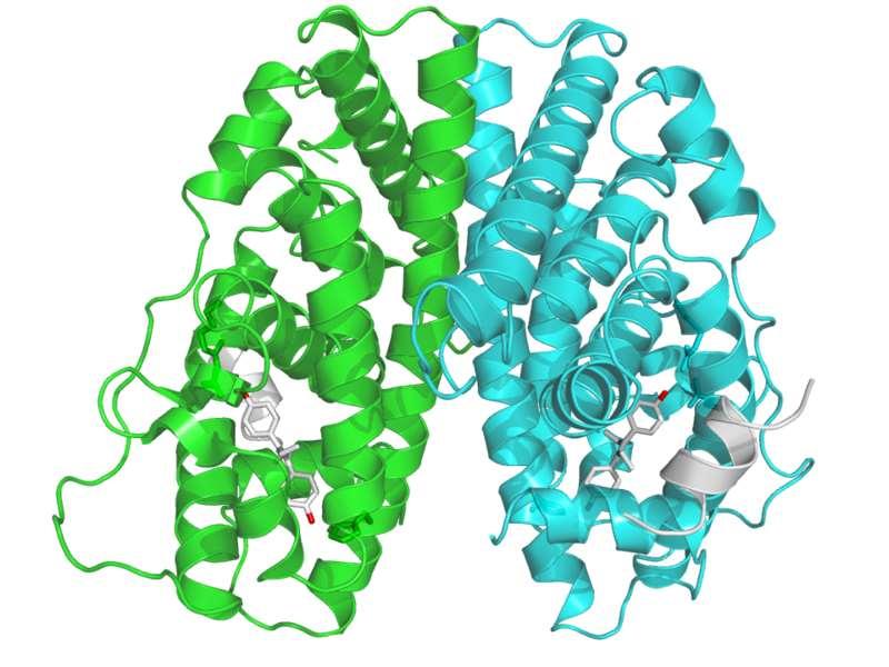 ER1 Tamoxifen (prodrug)