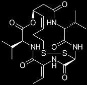proteinů zvýšení jejich stability (p53, tubulin, HSP90 ) inhibice HDAC rozsáhlé změny transkripčních programů a