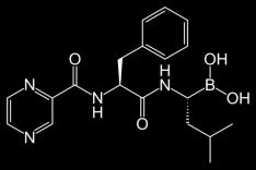 chymotryosin-like aktivitu (specificita - Tyr, Phe, Trp