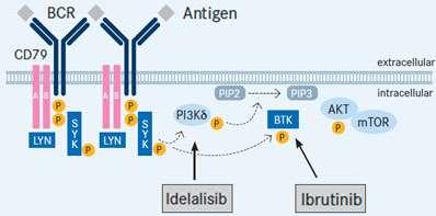 Inhibitor PI3K delta - idelalisib