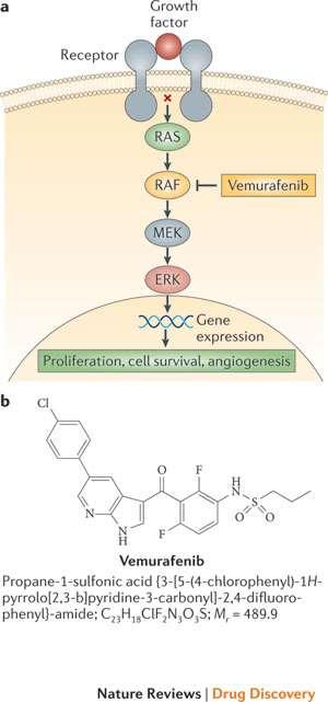 Inhibitor mutované BRAF kinázy (mbraf) - vemurafenib Vemurafenib