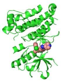 Inhibitor ALK (anaplastic lymphoma kinase) - crizotinib