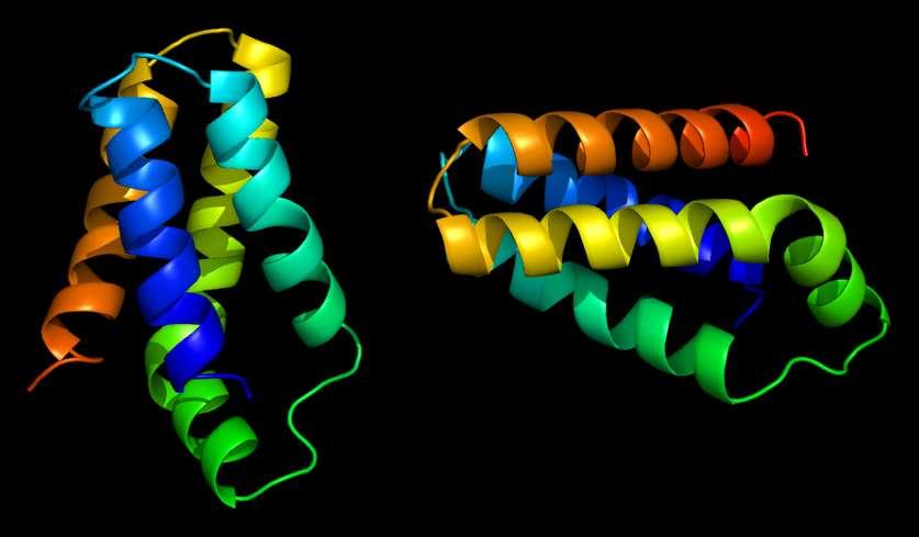 Inhibitory mtor mtor mammalian target of rapamycin Rapamycin antibiotikum ze Streptomycety z