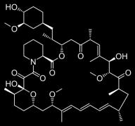 mtor (mammalian target of rapamycin) Ser/Thr kináza regulující: Buněčný růst, proliferaci, motilitu,