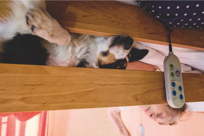 S canisterapií se běžně setkává většina z nás v každodenním životě, aniž bychom tušili, že jde o terapii. Stačí pohled nebo pohlazení pejska a člověku se zlepší nálada.