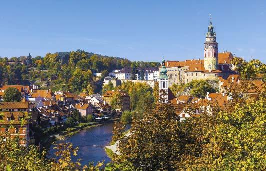 Z původních šedesáti návrhů bylo po konzultaci s předkladateli a odborníky vybráno konečných pětadvacet projektů, které jsou vhodné k hlasování.