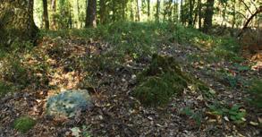 a byla postavena nad pramenem, který může být léčivý. Po obvodu hory vede téměř 1 km dlouhá křížová cesta se 14 zděnými kapličkami. www.itrebon.