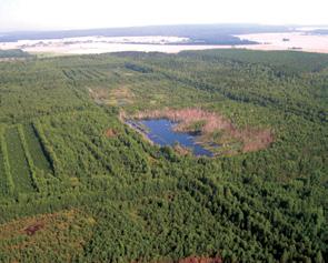 Přírodní unikáty CHKO Třeboňsko Krajina Třeboňska byla po staletí utvářena činností člověka, proto zde vznikla mimořádně cenná mozaika