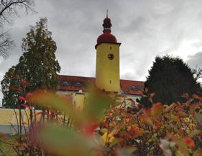 V současné době nabízí svým návštěvníkům tři prohlídkové trasy a další historické expozice. www.zamek-trebon.