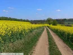 agroenvironmentálne opatrenia