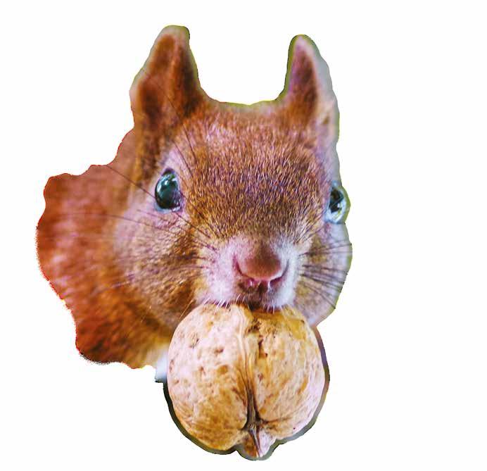 která je přenáší * pokusy s vodou a větrem *