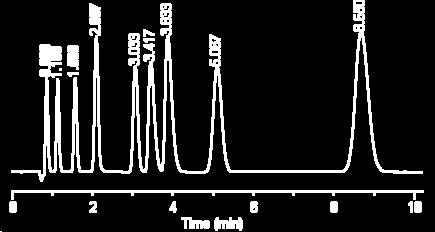 CHIP-LC elektromigrační m.