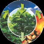 Posléze při spalování se do ovzduší uvolňuje CO 2, které je opětovně spotřebováváno pro růst. To znamená, že při spalování dřeva vzniká rovnováha mezi produkcí a spotřebou CO 2.