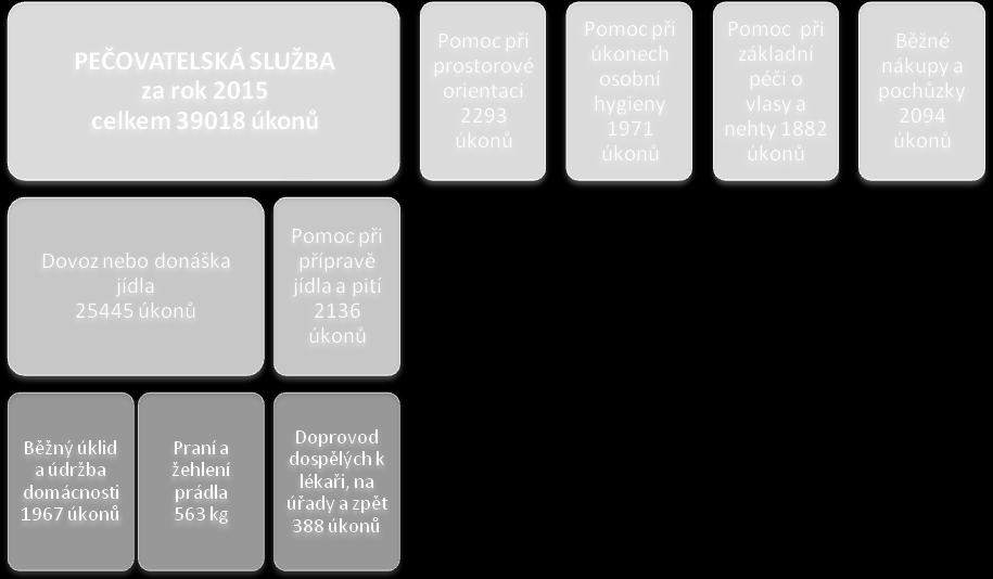 o Pomoc s úklidem o Hromadné nákupy, individuální nákupy, pochůzky o Praní a žehlení prádla o Doprovod k lékaři, na úřady, i na procházky Všichni naši pracovníci pečovatelského úseku CSZS jsou na