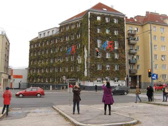 Rozdíl teplot až 50 C V letních dnech je teplota jižní fasády kryté zelení až o 50 C nižší než teplota