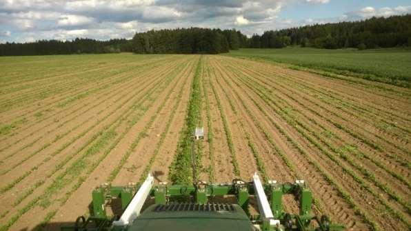 Pěstování konvenčního máku od r. 1998. 2014 již bio - jarní mák Major (200kg/ha). Největší problém plevele. S krytonoscem vážné problémy nejsou.