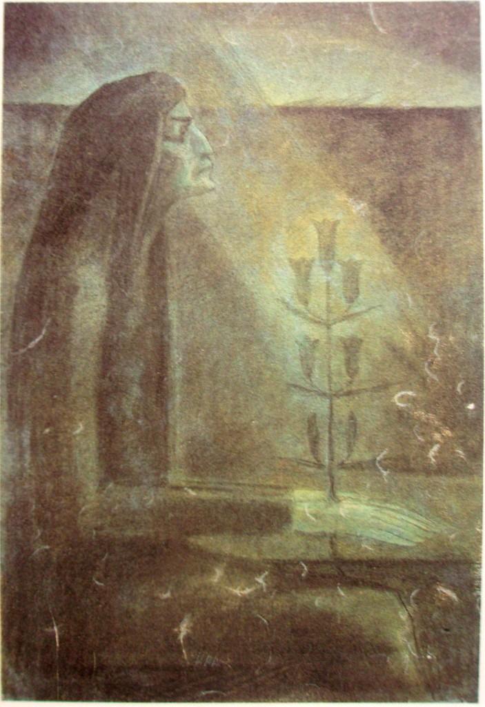 rostlinné a živočišné říše, 1895, dřevoryt Jan