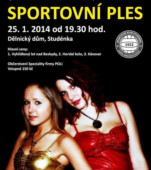Malí návštěvníci mohli zhlédnout Pohádku o mašinkách a představení Michala Nesvatby, dospělí se mohli zaposlouchat do písní dívčí cimbálové kapely Iršava a skupiny FiHa.