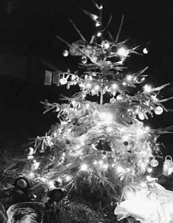 Zdena Rudolfová Na chudonické návsi se rozzářil vánoční stromeček První adventní neděli 3. prosince od 17 hodin proběhlo v Chudonicích na návsi rozsvěcení vánočního stromečku.