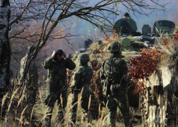 Obohacením a také výzvou pro velitele čet bylo přidělení minometné palby a letecké podpory s využitím letounů L-159 a JAS-39 Gripen a prostředků elektronického boje 532.