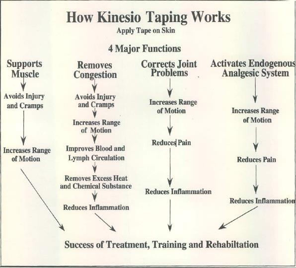 Obrázek 8: Čtyři hlavní funkce kinesio tapu dle Kase (2003)