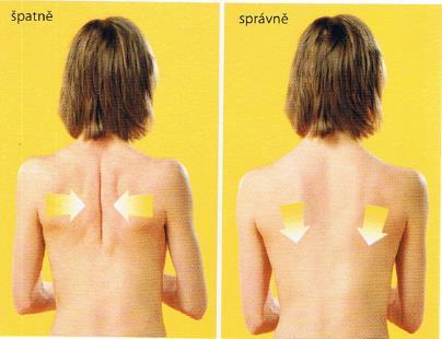 4.4.1. Popis facilitačního kinesio tapingu dolních fixátorů lopatek Facilitační kinesio taping dolních fixátorů lopatek, který při své rozsáhlé praxi klinicky ověřil MUDr.