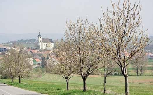 Moravský Písek hrad Bzenec 7,3 km, 9:38, vlak 13. 3. Ježov rezervace Hošťálka Osvětimany 6,7 km, 8:53, bus 20. 3. Čeložnice Kolomaznice Koryčany 8,2 km, 8:23, bus 27. 3. Radějov rozhledna Travičná Lučina Radějov 7,6 km, 8:35, vlakové nádraží ilustrační foto, Ježov strana 18 Opravdu jsem to nečekala.