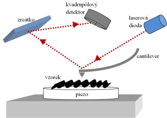 případně i dalších vlastností. V této fázi se potvrdil význam objevu skenovacího tunelovacího mikroskopu (STM) 3 a mikroskopu atomárních sil (AFM) 4, což byly zásadní objevy tohoto oboru.
