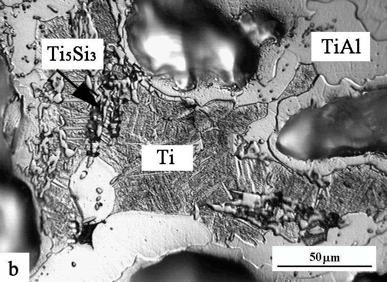 Mikrostruktura ternárních eutektických slitin a) TiAl38Si2, b) TiAl8Si7 Fig. 3.