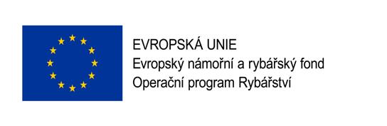 intervenčním fondem vydal PŘEHLED NEJČASTĚJŠÍCH CHYB