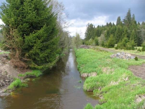 Kateřina