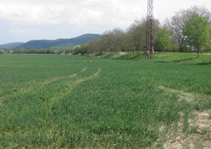Bývalá hráz Bývalá hráz Plocha rybníka Plocha
