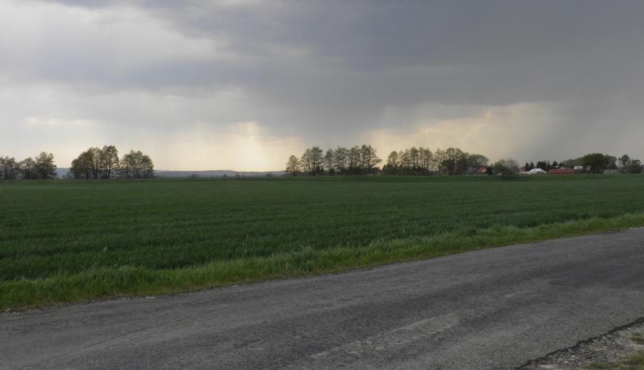Zaniklý Městský rybník na Zábřežsku Autor: Hana