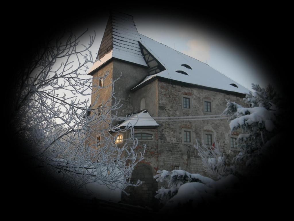 vydání