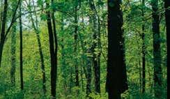 Připojení až 10 vnitřních jednotek WE CARE FOR NATURE